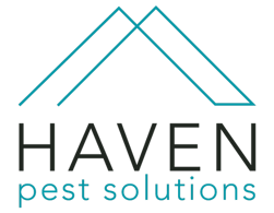 An image of the logo for Haven Pest Solutions in Richardson Texas